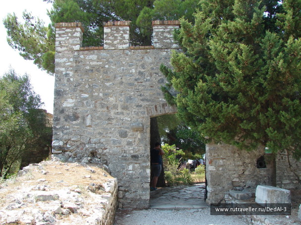 photo 1526444