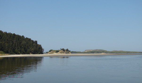 DSC09983 (2)