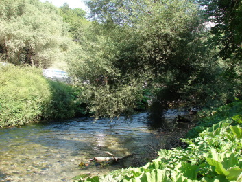 photo 1534796