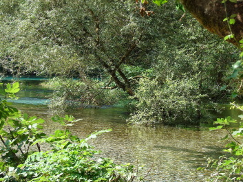 photo 1534797