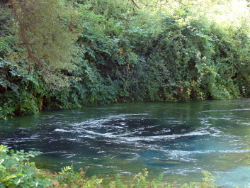 photo 1534810