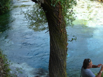 photo 1534811
