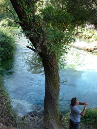 photo 1534812