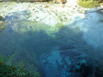 photo 1534815