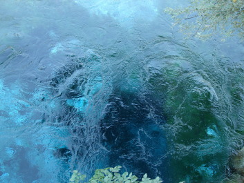 photo 1534816