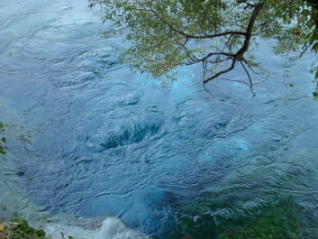 photo 1534822
