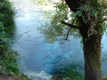 photo 1534823
