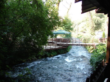 photo 1534836