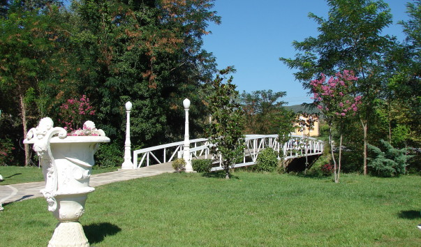 DSC09730