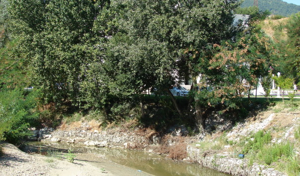 DSC09725