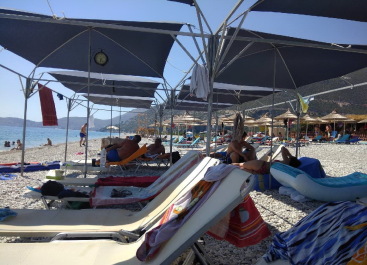 photo 1538173