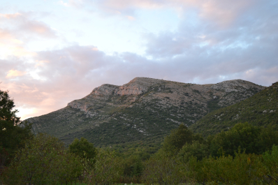 photo 1568020