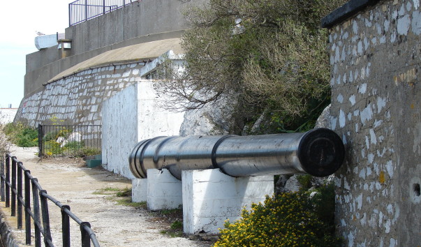 DSC00181