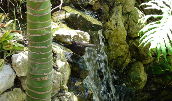 DSC00262
