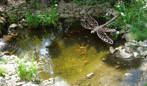 DSC00258
