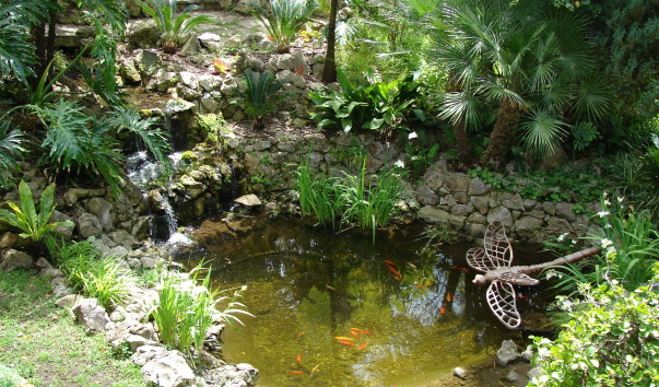 DSC00256