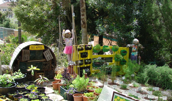 DSC00254