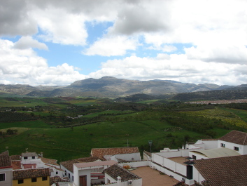 photo 1635117