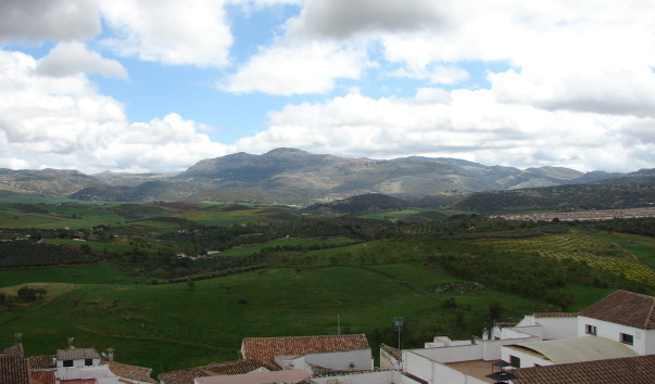 DSC00118