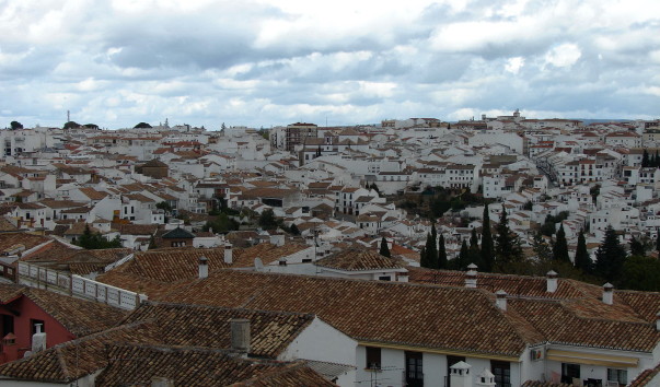 DSC00116
