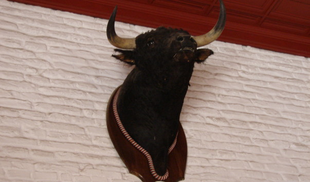 DSC01265