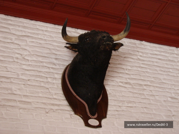 photo 1644686