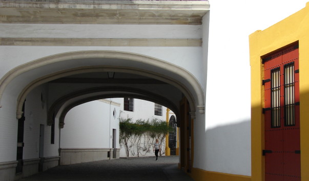 DSC01264