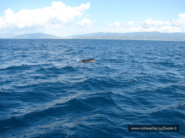 photo 1645719
