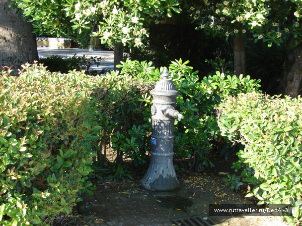 photo 1647237