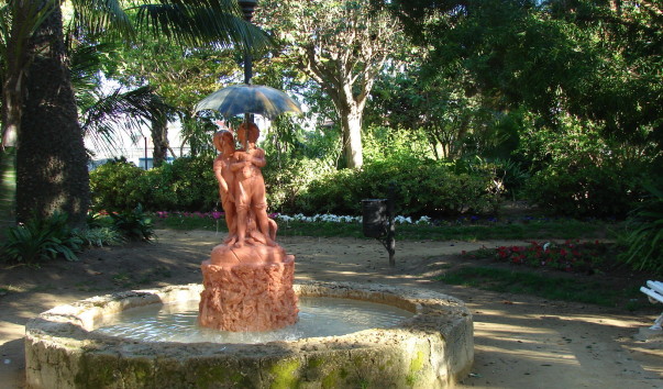 DSC00595