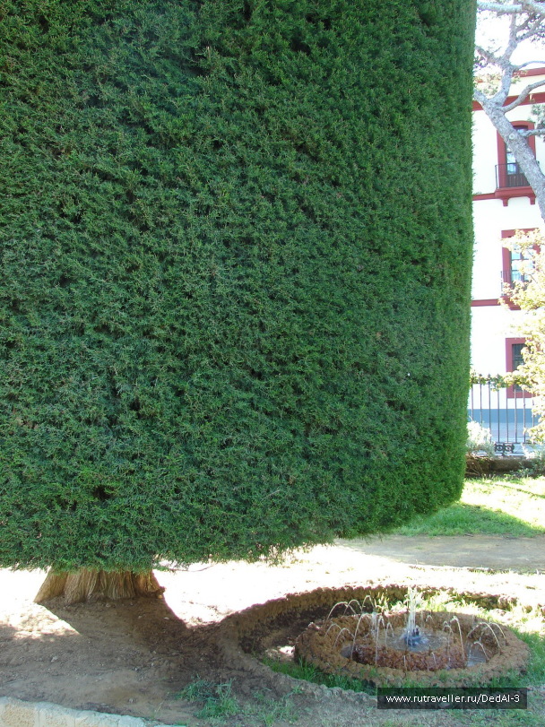 photo 1649117