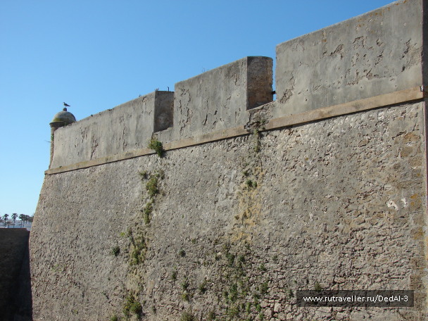 photo 1651729