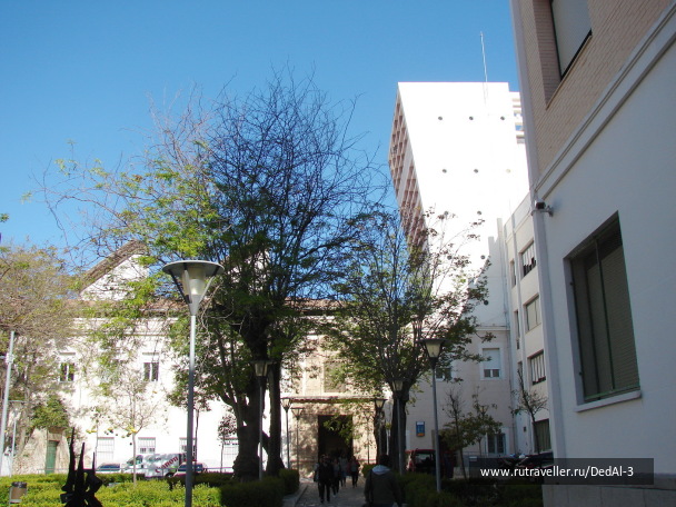 photo 1651735