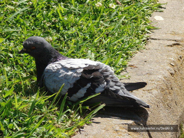 photo 1651739