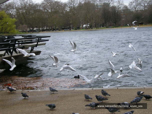 photo 1034329