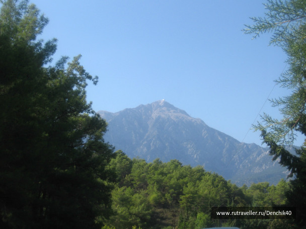 photo 400903