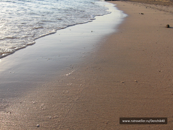 photo 402543