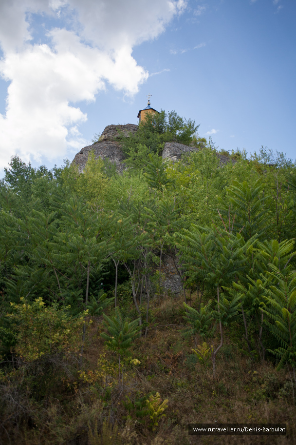 photo 1546177