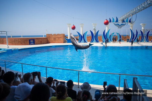 photo 1546072