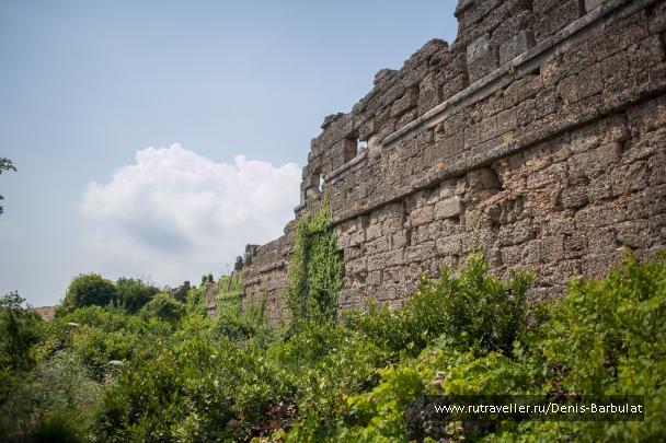 photo 1546125