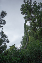photo 1546170