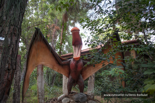 photo 1546172