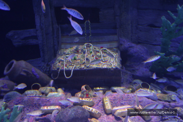 photo 230490