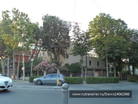 photo 382131