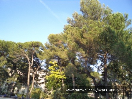 photo 382140