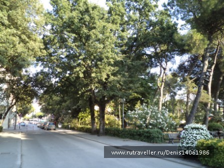 photo 382145