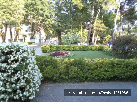 photo 382147