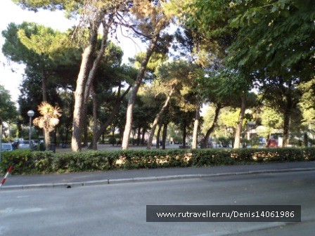 photo 382149