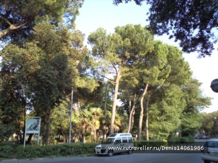 photo 382154
