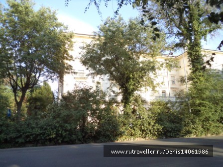 photo 382155